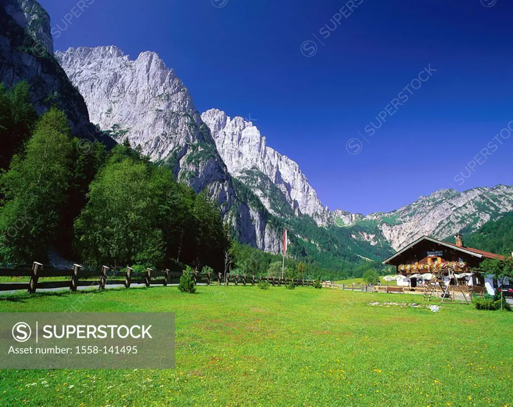 Austria, Tyrol, Kirchdorf, Alpengasthof FischbachAlp, summer, Kaiserbachtal, mountain scenery, mountains, mountain-meadow, house, alp, residence, dest...