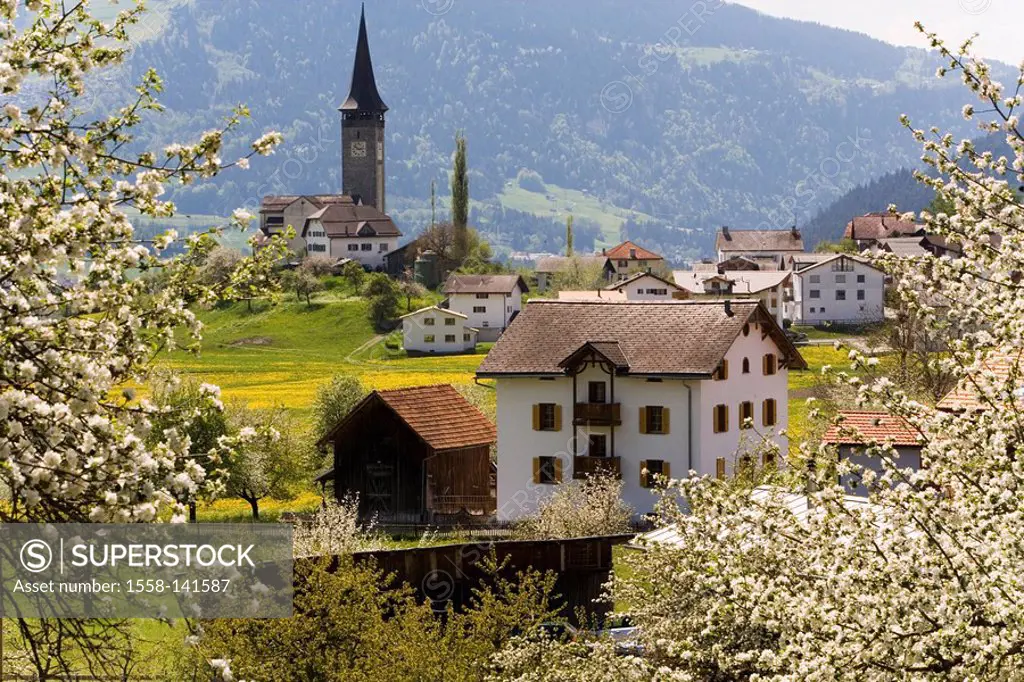 Switzerland, Graubünden, Schluein, spring,