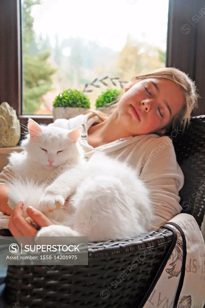 Girls with white longhair cat in the arm, half portrait