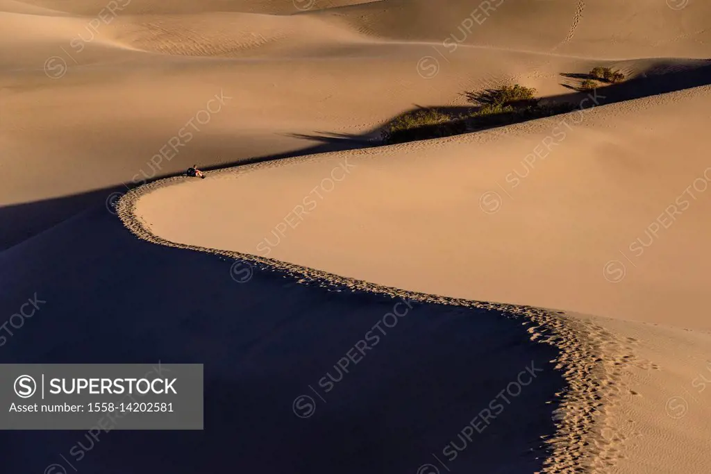The USA, California, Death Valley National Park, Stovepipe Wells, Mesquite Flat Sand Dunes