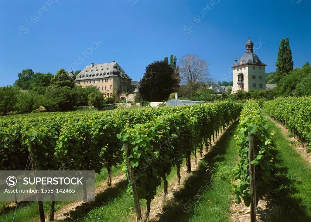 Germany, Hesse, Rhine-district, winery palace of full-wheel Oestrich-Winkel palace-buildings buildings constructions, tower, architecture, sight, dest...