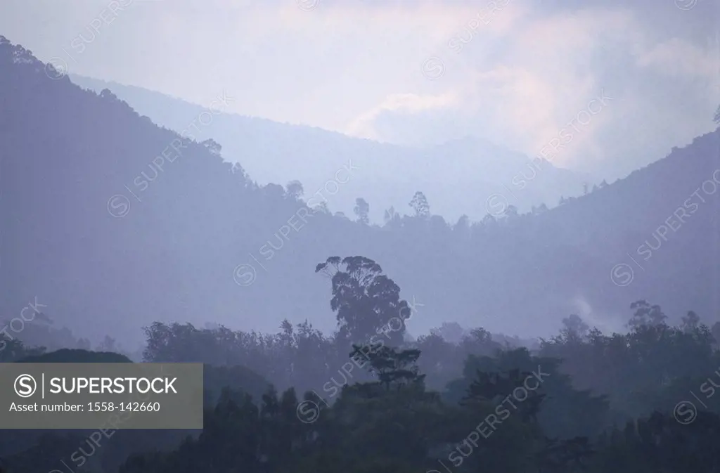Tanzania, Arusha, silhouette, mountain scenery, forest, fog, Africa, East-Africa, landscape, mountain-forest, trees, mist, mood, loneliness, nature, h...