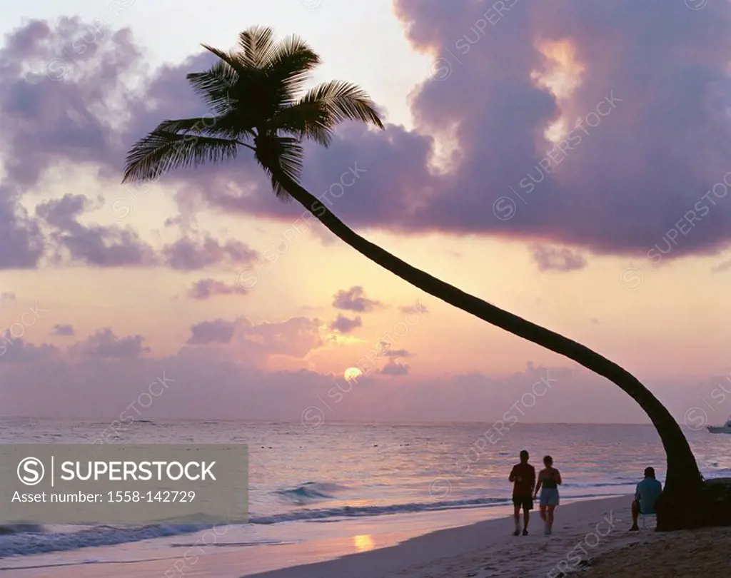Dominican republic, Punta Cana, Playa Bavaro, palm-beach, tourists, sunrise, Caribbean, beach, sandy beach, palms, people, walk, silence, silence, rom...