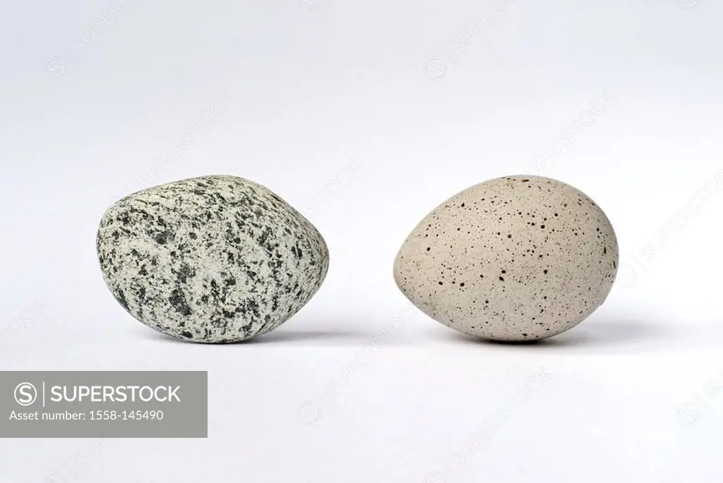 Pebble, bird´s egg, camouflage, comparison, birds, bird_nests, egg, wildbird, crakes, blesscrake, coot, Fulica atra, stone, shingle, roughly, opposite...