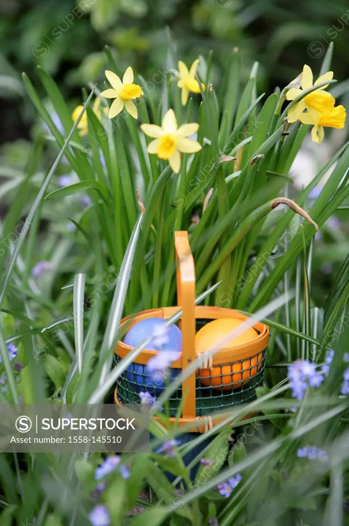 Easter, meadow, flowers, little basket, Easter eggs, garden, flower meadow, narcissus, daffodils, Easter, Eastertime, Easter Sunday, Easter_egg_search...