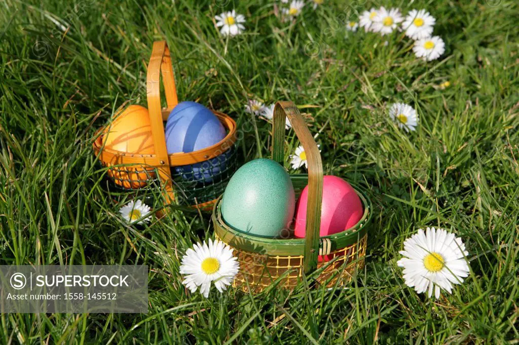Easter, meadow, flowers, little basket, Easter eggs, garden, flower meadow, daisies, Easter, Eastertime, Easter Sunday, Easter_egg_search, egg_searchi...