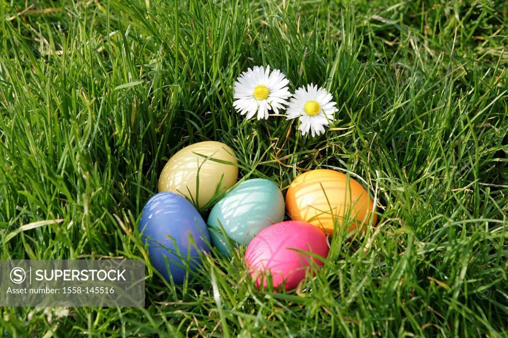 Easter, meadow, flowers, Easter eggs, garden, grass, lawns, daisies, little flower, Easter, Eastertime, Easter Sunday, Easter_egg_search, egg_searchin...