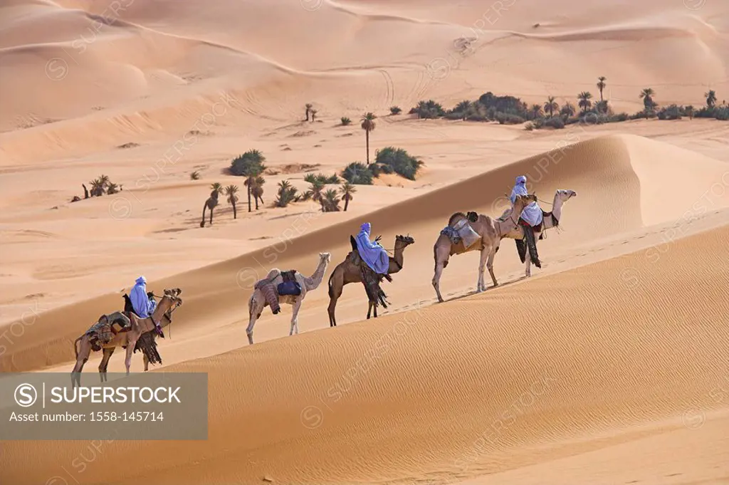 Ride Africa, Libya, sand_desert, Tuaregs, camels, caravan