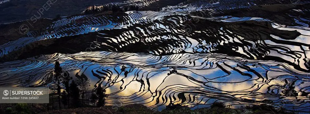 Asia, China, rice_terraces, reflects, sunrise, close_up