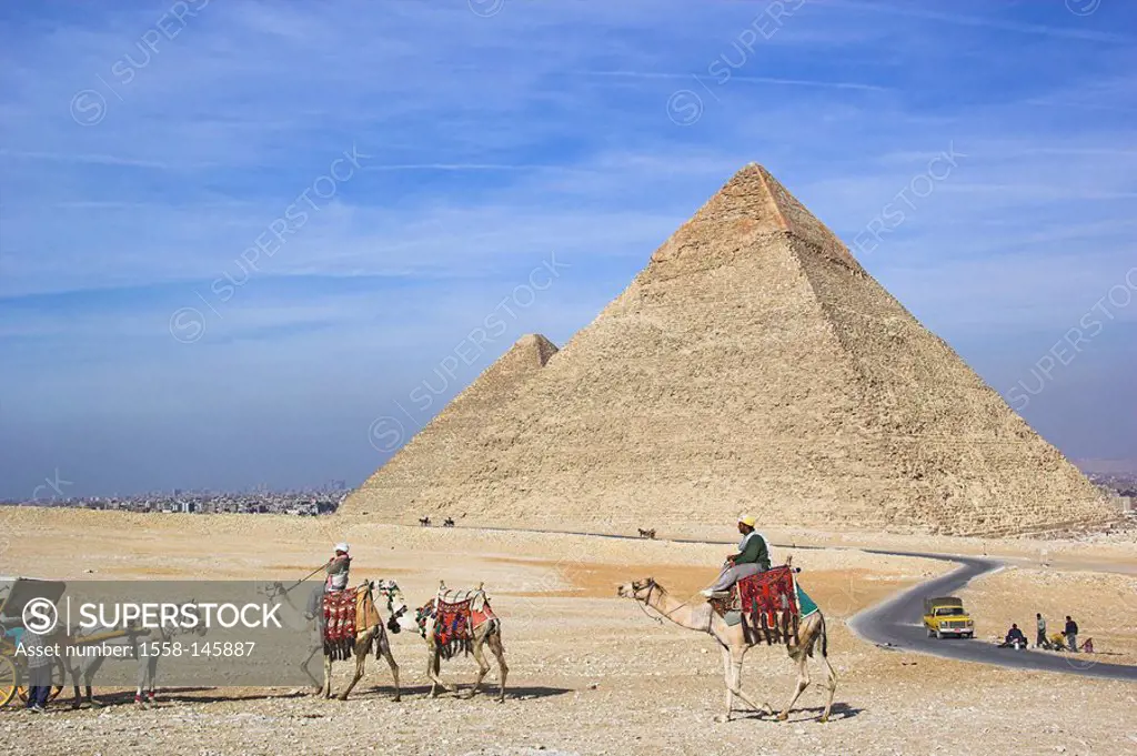 Egypt, Cairo, Giseh, pyramids, rding a camel