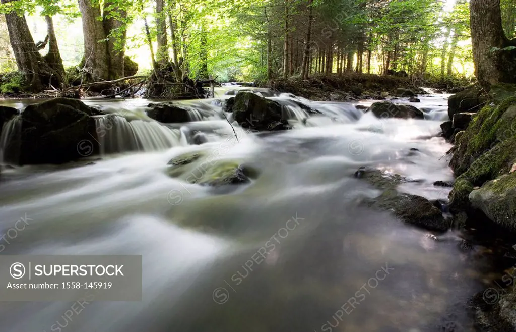 Forest_brook, detail, long_time_exposure, forest, trees, brook, waters, water, flows, nature, vegetation, habitat naturalness, purity freshness ecolog...