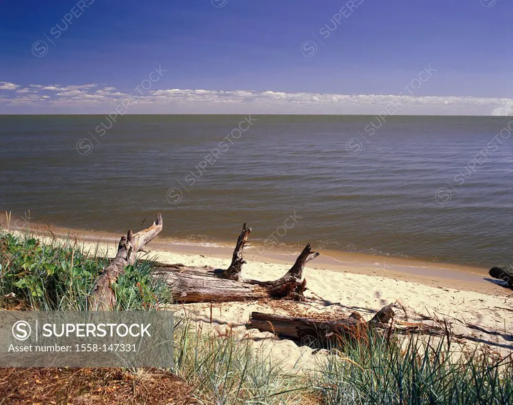 Russia, Courland Spit, Pillkoppen, beach, log, East_Europe, landscape, nature, sandy beach, Morskoje, lake,Baltic Sea