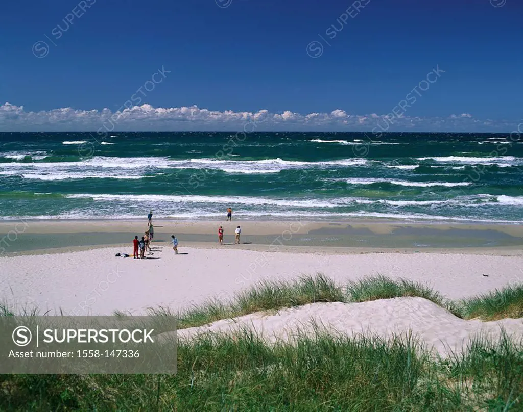 Russia, Courland Spit, Baltic Sea