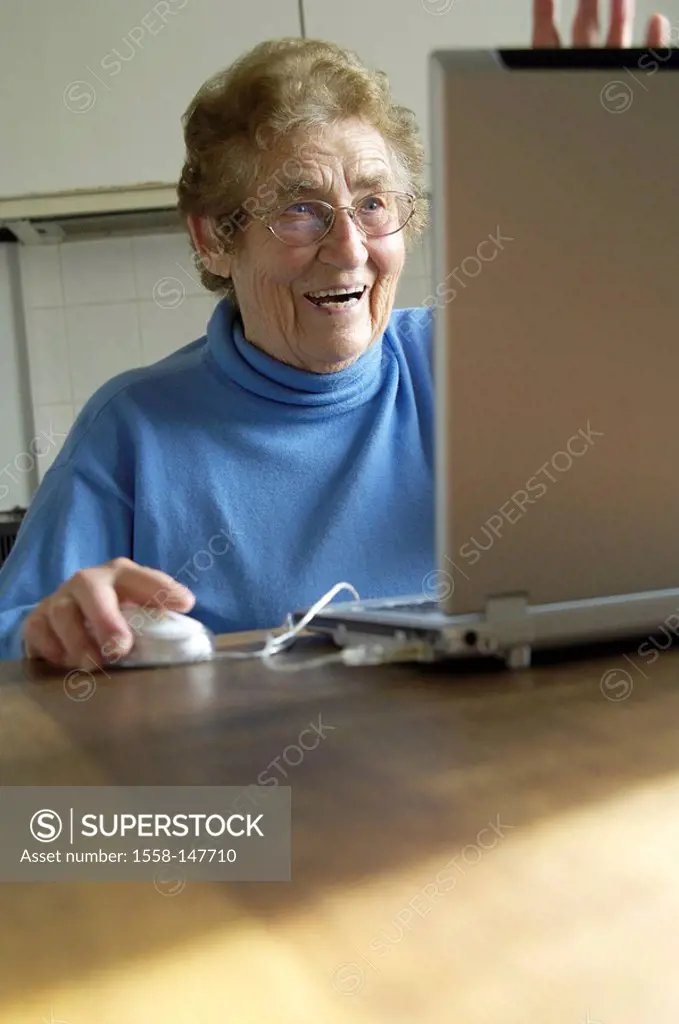 Senior, Notebook, surfing the web, cheerfully, detail, series, people, woman, grandma, seniors, computers, data processing, data input, internet, info...
