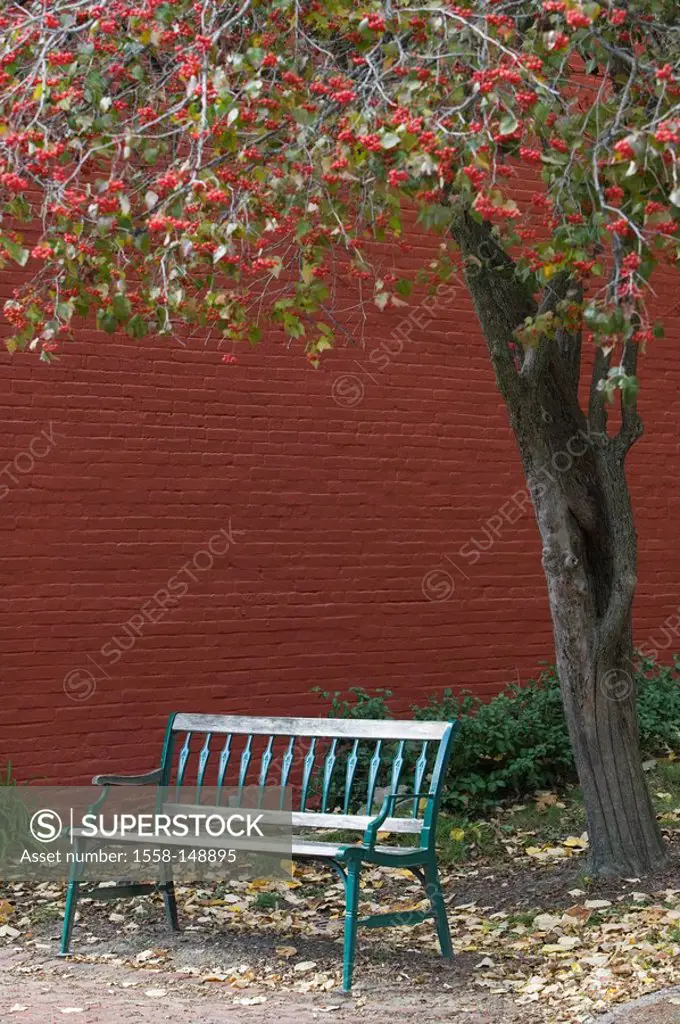 usa, Missouri, St Charles, park_bank, tree, autumn_mood