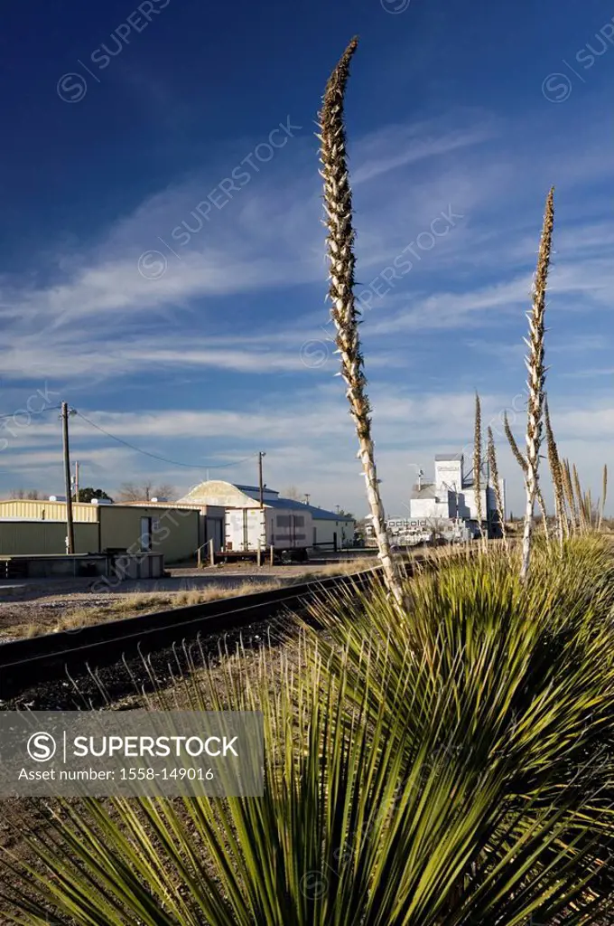 usa, Texas, Marfa, railway line, plants, buildings