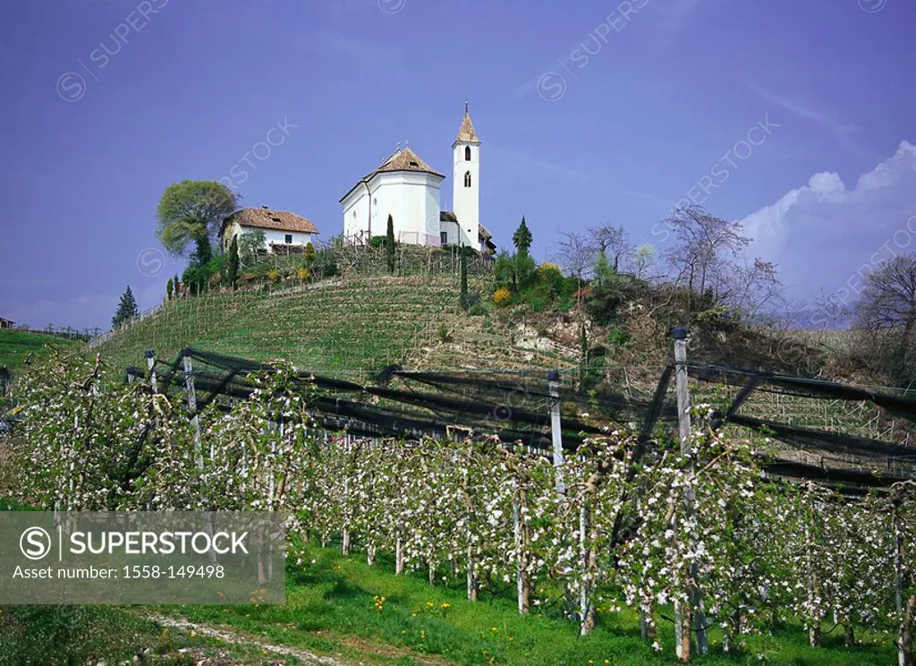 Italy, South_Tyrol, Etschtal, Eppan, rise, church, orchard, spring, North_Italy, village, parish_church, apple trees, bloom, fruit trees, cultivation,...