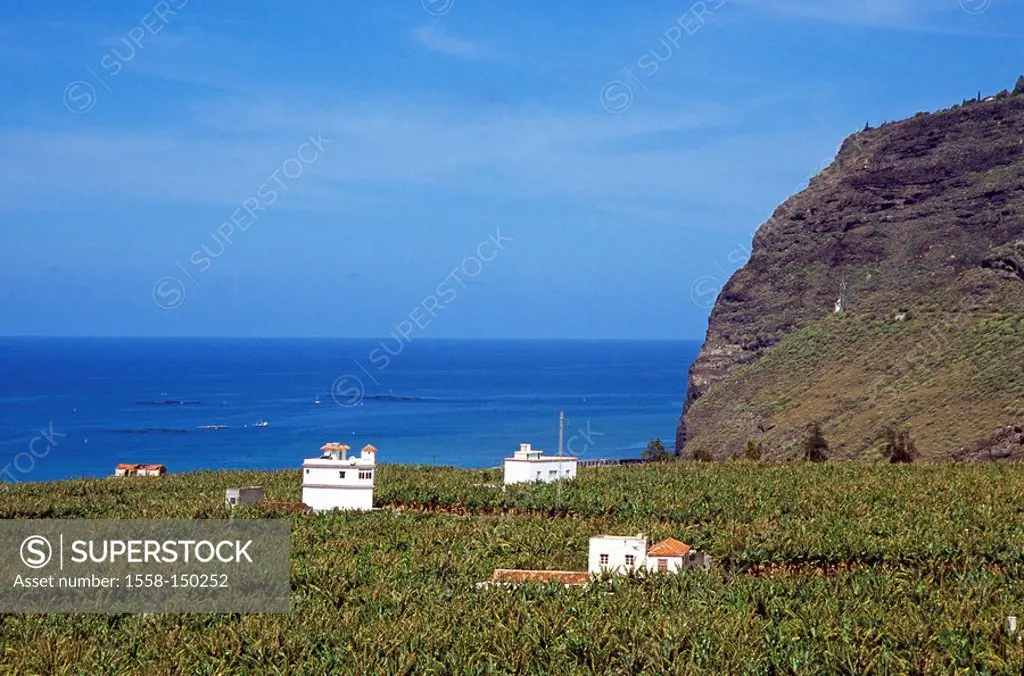 Spain, Canaries, island La Palma, Tazacorte, locality perspective, banana_plantation, lake,Atlantic_island, Atlantic, sea view, view, place, isolated,...