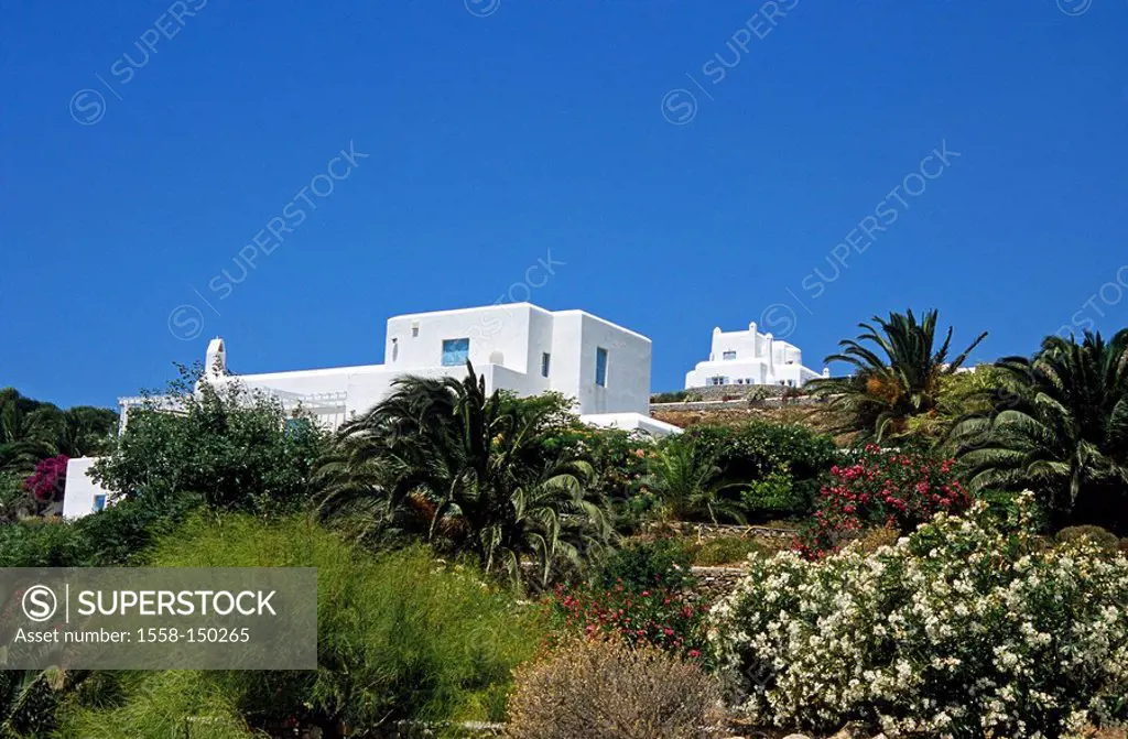 Greece, Cyclades, island Mykonos, Agios Stefanos, house, palms, destination, Mediterranean_island, tourism, garden, plants, vegetation, residence, kno...