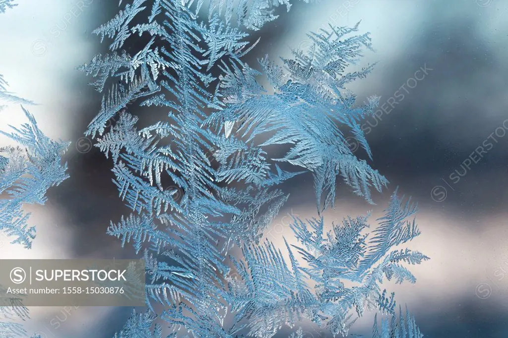 Ice Crystals In Window Glass, bokeh background