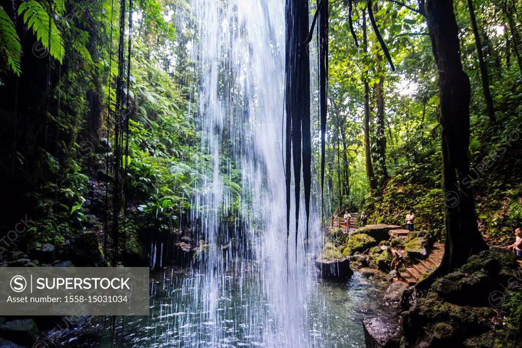 Waterfall splashing in the Emerald Pool in Dominica, Caribbean