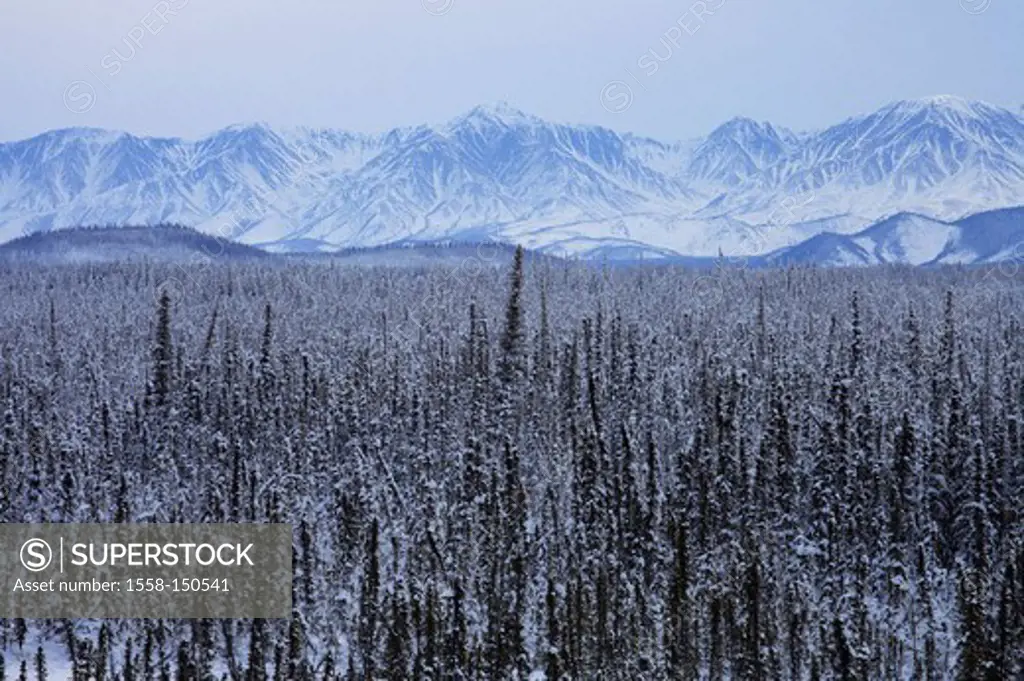 Canada, Alaska, Yukon, Wrangell St_Elias´ national_park, winter, North America, landscape, winter_landscape, winter forest, mountain_chain, mountains,...