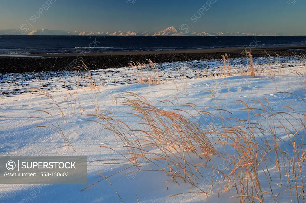 Canada, Alaska, brine Clark Nationalpark, Kenai peninsula, Anchor Point, winter_landscape, North America, landscape, waters, shore, grass, snow, gaze,...
