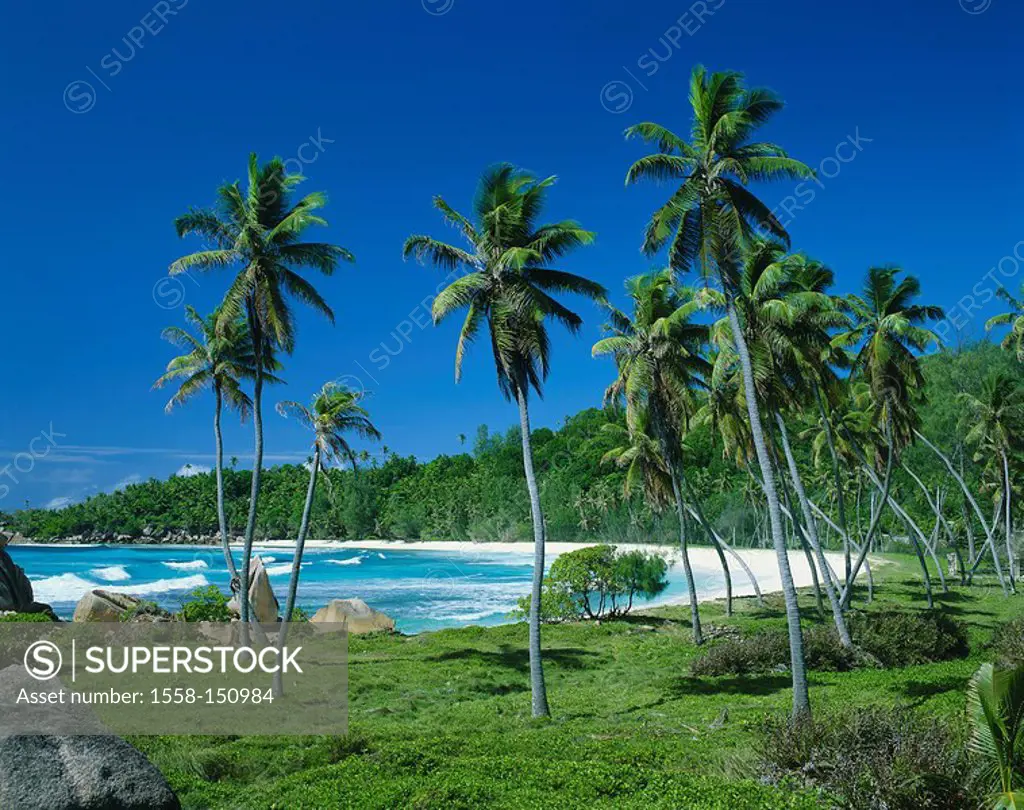 Seychelles, island, La Digue, bay, palms, beach, surf, lake,island state, island_group, coast, sandy beach, vegetation, palm_beach, bushes, trees, for...