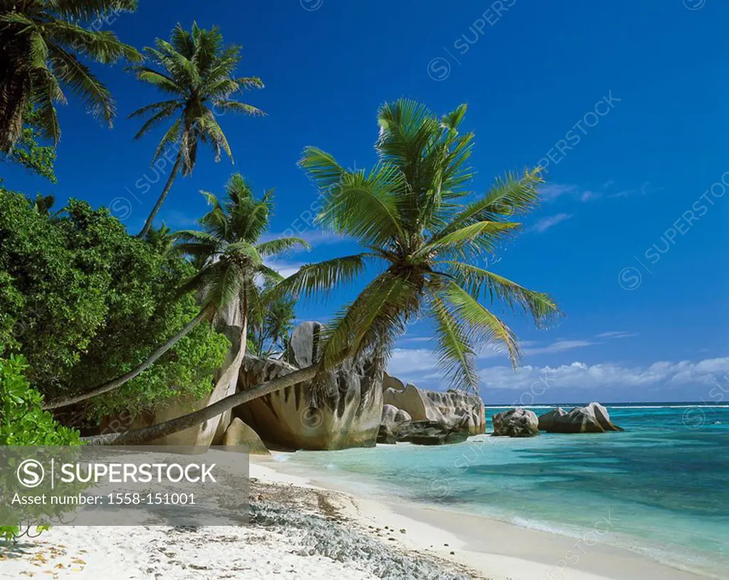 Seychelles, island, La Digue, bay, palm_beach, rocks, lake,island state, island_group, coast, sandy beach, beach, vegetation, palms, bushes, trees, gr...