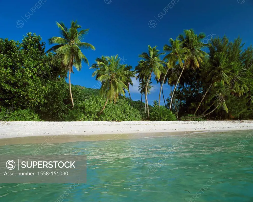 Seychelles, island, La Digue, lake,sandy beach, palms, island state, island_group, coast, landscape, beach, palm_beach, vegetation, tropical, forest, ...