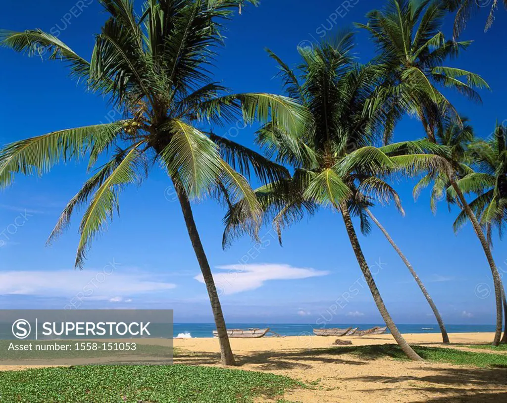 Asia, Sri Lanka, palm_beach, boats, lake,South_Asia, island state, coast, beach, sandy beach, palms, trees, surf, horizon, wideness, distance, lonelin...