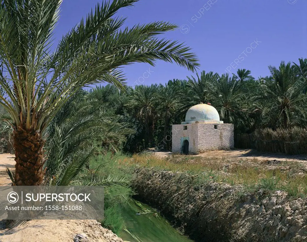 North_Africa, Tunisia, Bled El Djerid, Tozeur, oasis, palms, house, brook, Africa, Maghreb_countries, buildings, brick_construction, dome, trees, date...