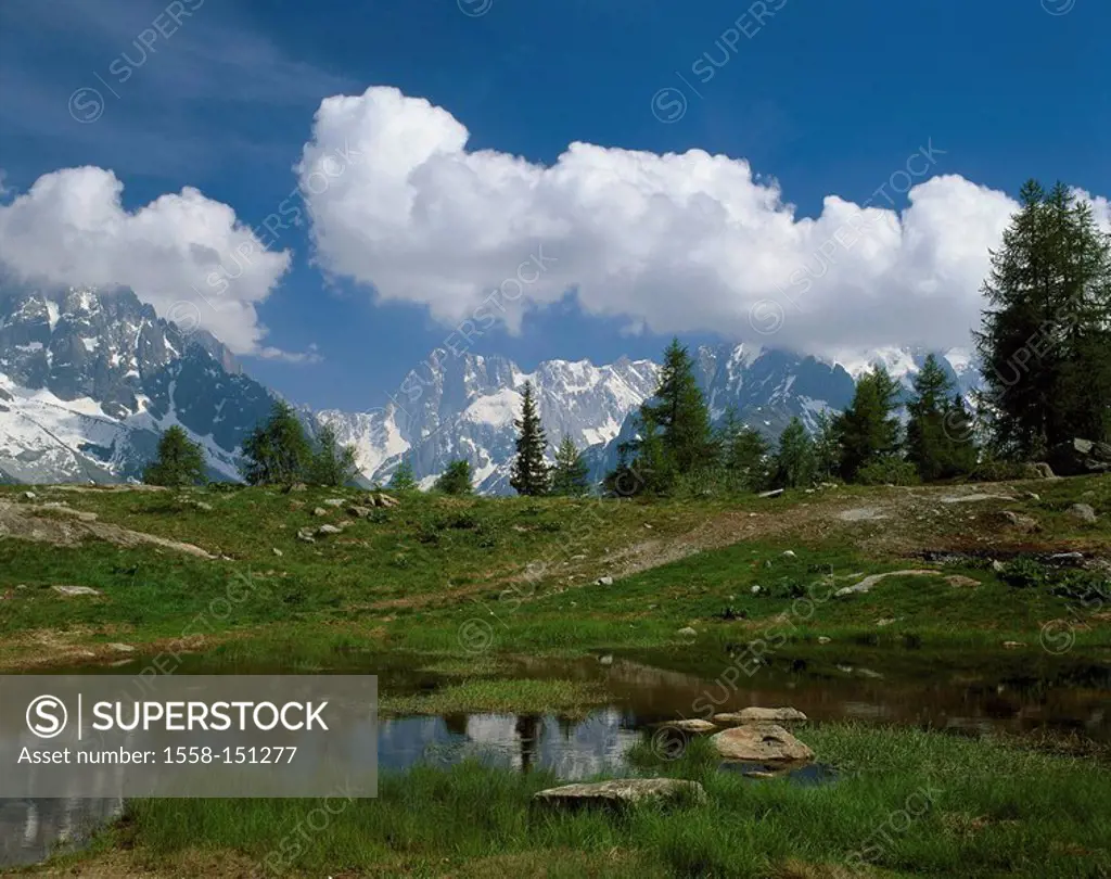France, department haute_savoie, Alps, Col des montets, lake,Montblanc, clouded sky, waters, mountain lake, pond, brook, mountain_meadow, meadow, tree...