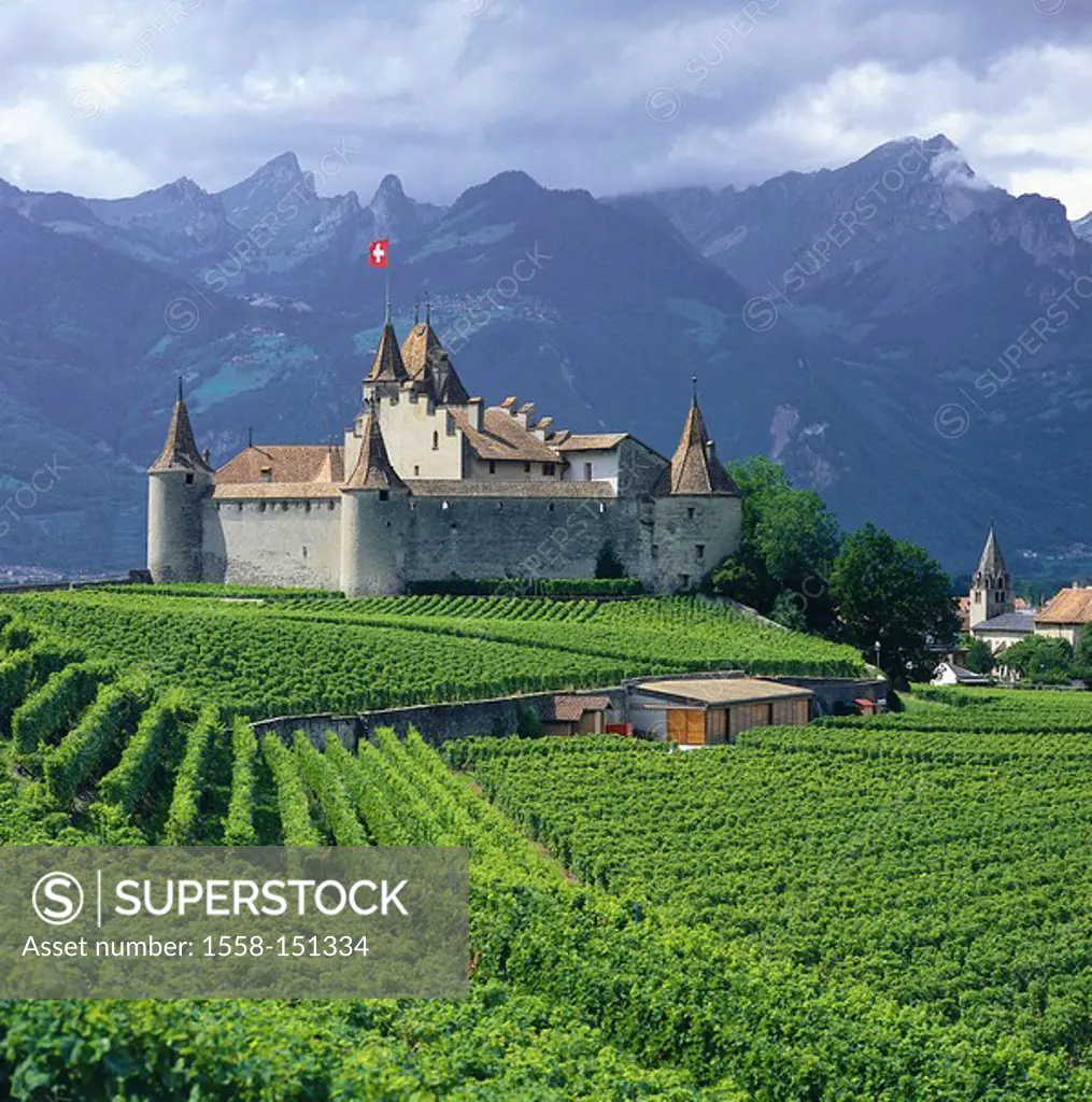 Switzerland, Waadt, Aigle, palace Aigle, vineyards, summer, Wallis, wine_region, wine_growing, wine, vines, castle, castle complex, construction, arch...