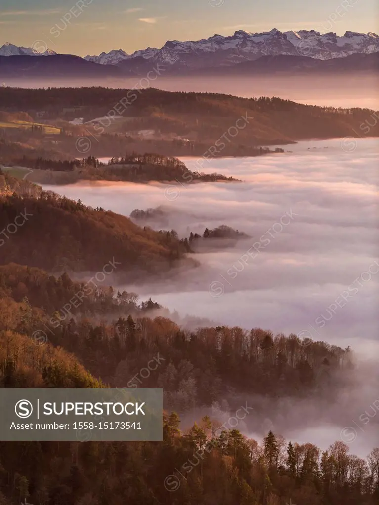 Sunset over the sea of fog on the Uetliberg near Zurich