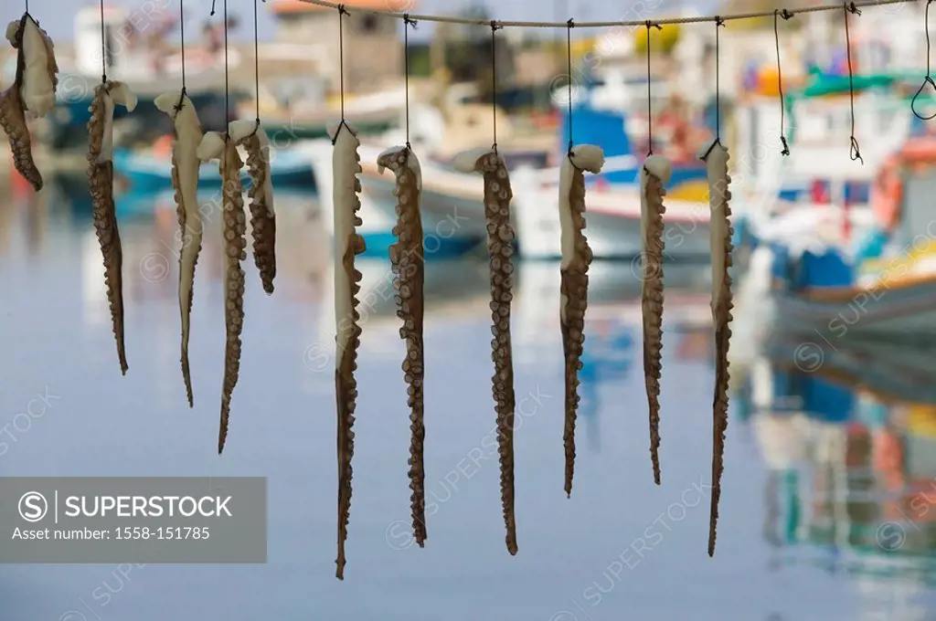 Greece, island lesbos, Mithymna, harbor, rope, squid_poor, Europe, Mediterranean_island, city, port, squid, tentacles, dries, hangs, seafood, Calamari...