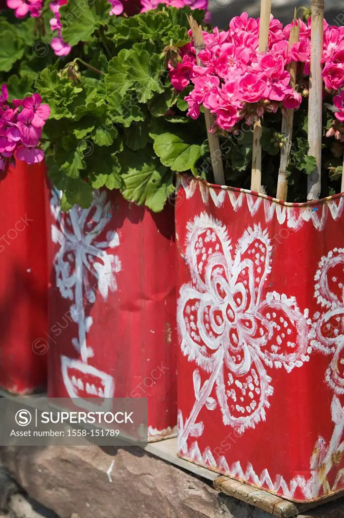 Buckets, paints, flowers, geraniums, bloom, detail, pail, tons canister misuses, colored, red, pattern,bloom, cheerfully, nicely, Greece, island lesbo...