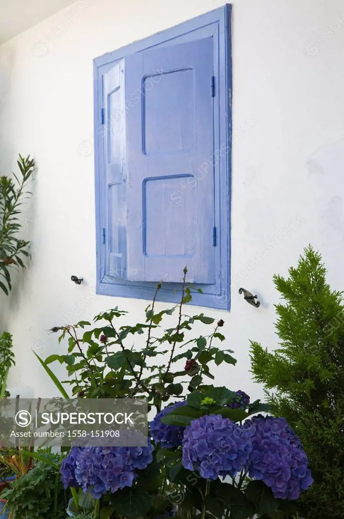 Greece, island samos, Manolates, residence, detail, shutters, flowers, blue, Europe, Mediterranean_island, destination, house, country_typically, nati...