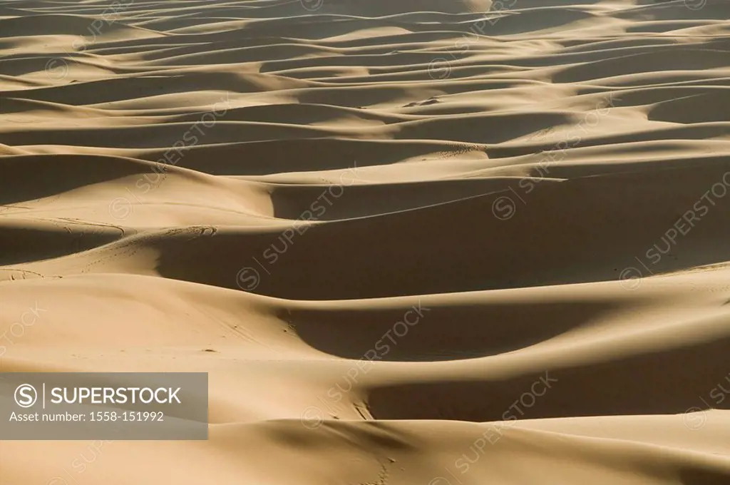 Morocco, Tafilalt, Merzouga, erg chebbi dunes, dusk Africa, North_Africa, Sahara, landscape, dunes, desert, sand_dunes, outside, desert_landscape, dry...