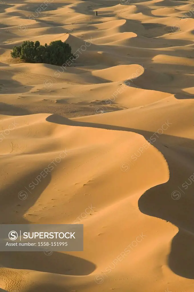 Morocco, Tafilalt, Merzouga, erg chebbi dunes, Africa North_Africa, Sahara, landscape, dunes, desert, sand_dunes, outside, desert_landscape, dryness, ...