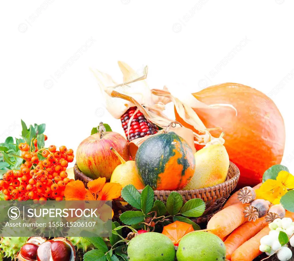 Coloured autumn fruits