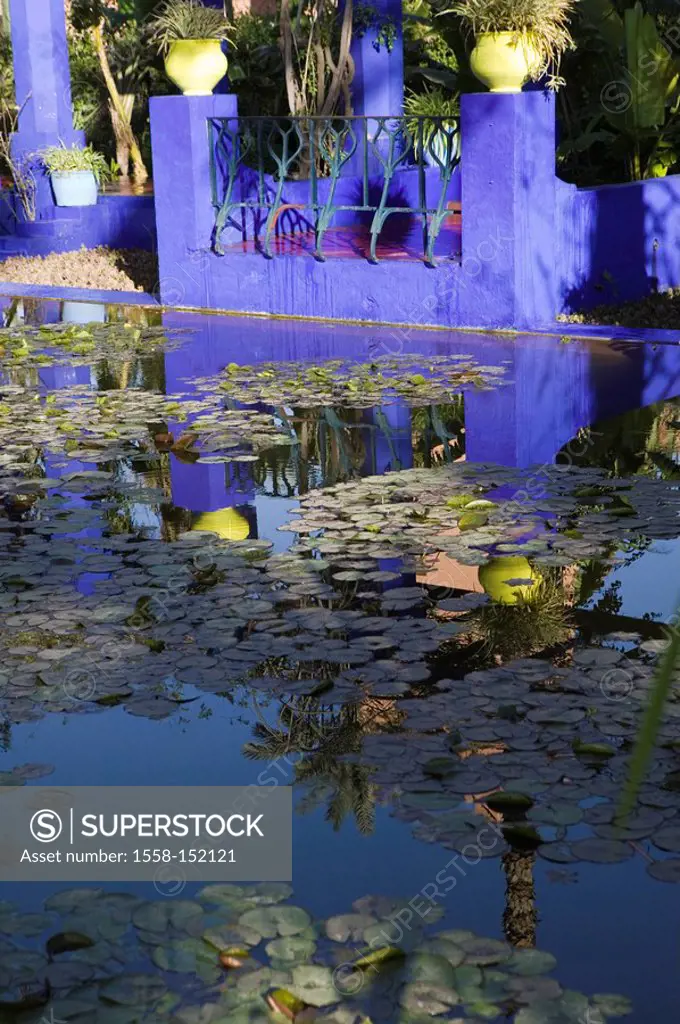 Morocco, Marrakech, Jardin Majorelle, museum, pond, water_plants, Africa, North_Africa, destination, sight, sunny, shady, plants, water, water_surface...