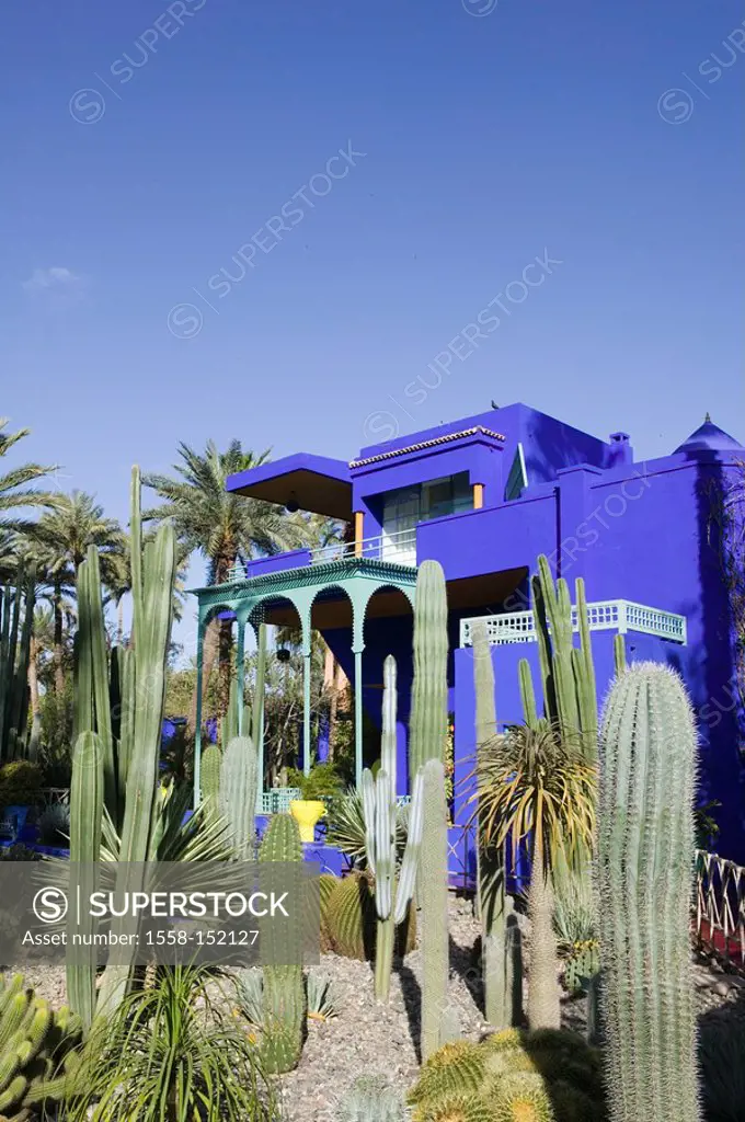 Morocco, Marrakech, Jardin Majorelle, museum, garden, cacti, Africa, North_Africa, destination, sight, sunny, plants, buildings, house, facade, blue, ...