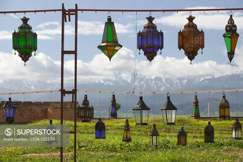 Morocco, Ourika_Valley, high atlas, sale, lanterns, hangs, Africa, North_Africa, landscape, view, meadow, flowers, yellow, background out of the way c...