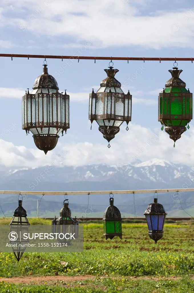 Morocco, Ourika_Valley, high atlas, sale, lanterns, hangs, Africa, North_Africa, landscape, view, meadow, flowers, yellow, background out of the way c...