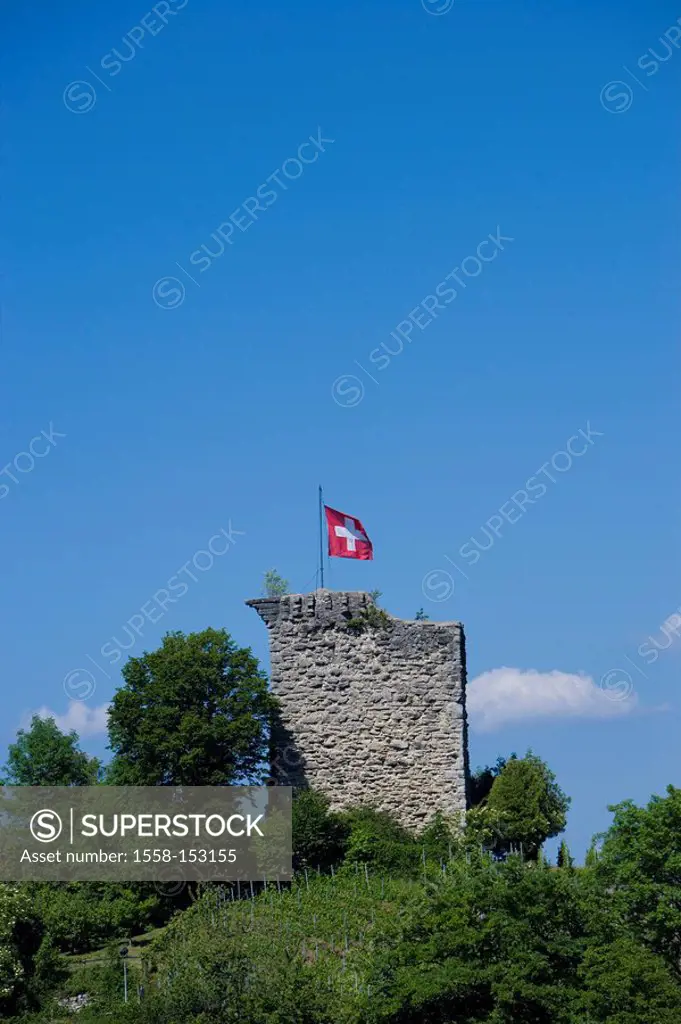 Switzerland, canton St,. Gallen, Rheineck, ruin