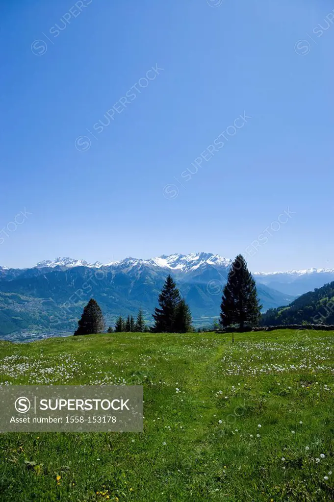 Switzerland, canton St,. Gallen, district development_mountain Buchserberg Malbun mountain_panorama