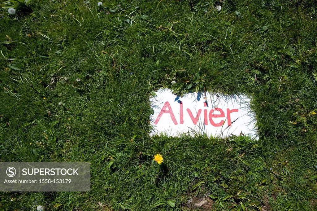 Switzerland, canton St,. Gallen, district development_mountain Buchserberg Malbun meadow sign, direction sign, Alvier