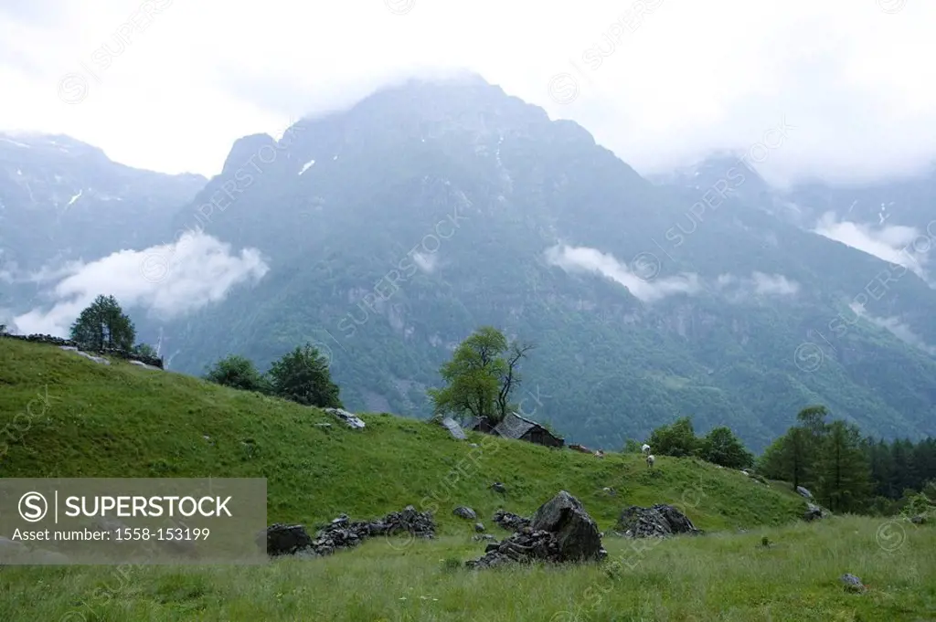 Switzerland, Tessin, Valle Verzasca, Monte Valdo, mountain scenery,