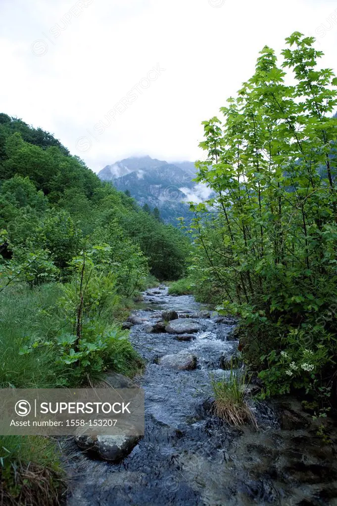 Switzerland, Tessin, Valle Verzasca, Frasco, mountain_brook